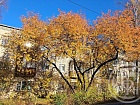 Ломоносов г., Красноармейская ул., 4